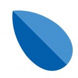 理杏仁股票官方网手机版