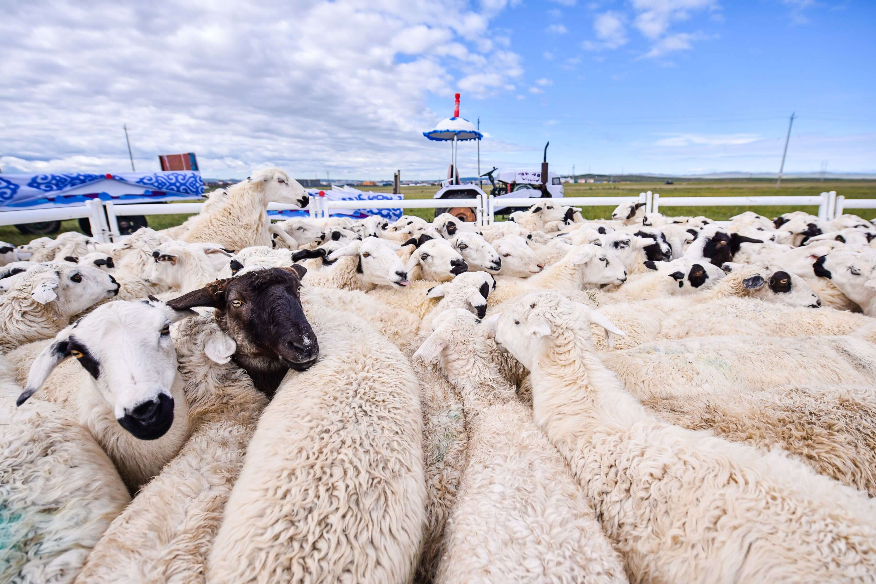 贵金属投资与期货投资的区别有哪些?